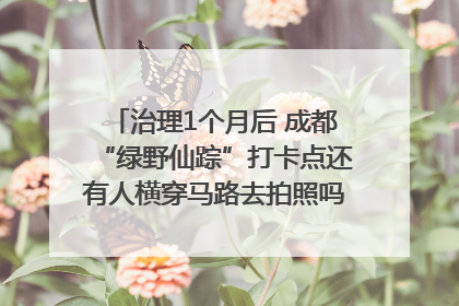 治理1个月后 成都“绿野仙踪”打卡点还有人横穿马路去拍照吗？｜民情瞭望