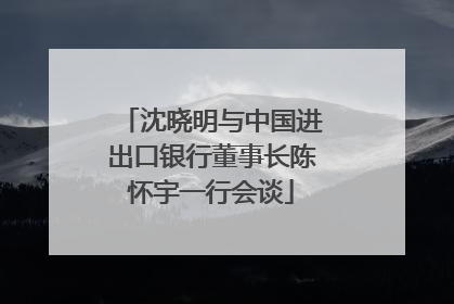 沈晓明与中国进出口银行董事长陈怀宇一行会谈