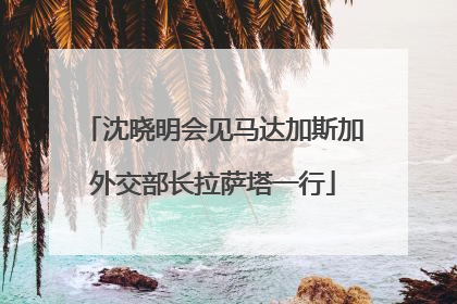 沈晓明会见马达加斯加外交部长拉萨塔一行