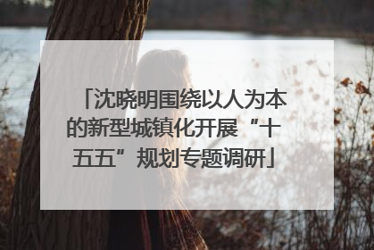 沈晓明围绕以人为本的新型城镇化开展“十五五”规划专题调研