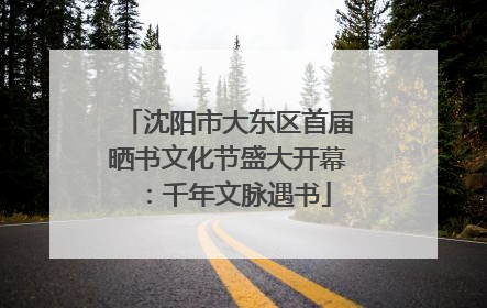 沈阳市大东区首届晒书文化节盛大开幕：千年文脉遇书