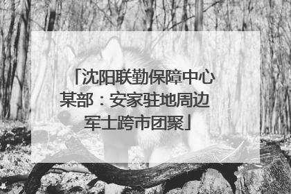 沈阳联勤保障中心某部：安家驻地周边 军士跨市团聚