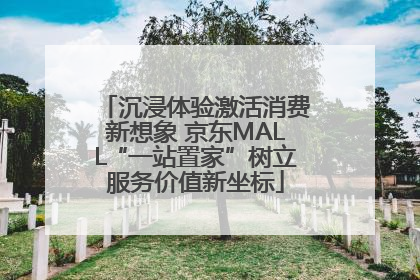 沉浸体验激活消费新想象 京东MALL“一站置家”树立服务价值新坐标