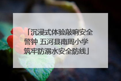 沉浸式体验敲响安全警钟 五河县南周小学筑牢防溺水安全防线