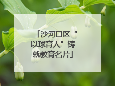 沙河口区“以球育人”铸就教育名片
