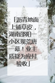 沥青地面上铺草皮，湖南邵阳一小区现荒唐一幕！业主质疑为应付验收