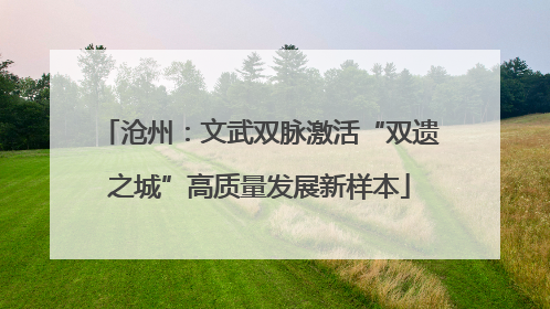 沧州：文武双脉激活“双遗之城”高质量发展新样本
