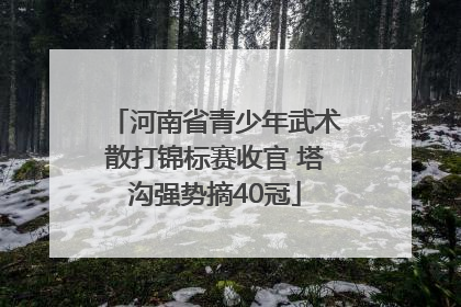 河南省青少年武术散打锦标赛收官 塔沟强势摘40冠