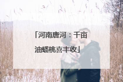 河南唐河：千亩油蟠桃喜丰收