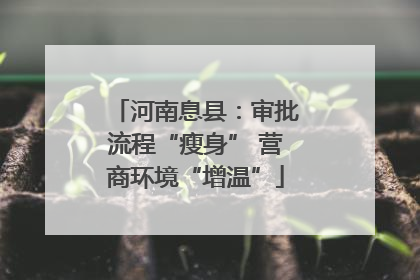 河南息县：审批流程“瘦身” 营商环境“增温”