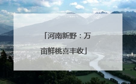 河南新野：万亩鲜桃喜丰收