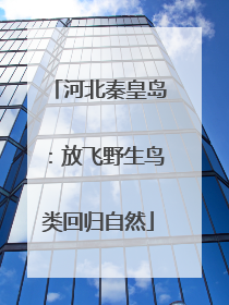 河北秦皇岛：放飞野生鸟类回归自然