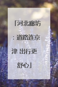 河北廊坊：道路连京津 出行更舒心