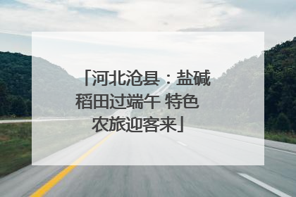 河北沧县：盐碱稻田过端午 特色农旅迎客来