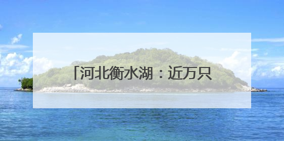 河北衡水湖：近万只夏候鸟进入繁殖期