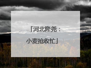 河北隆尧：小麦抢收忙