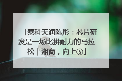 泰科天润陈彤：芯片研发是一场比拼耐力的马拉松｜湘商，向上⑤