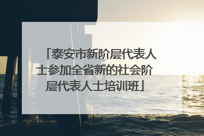 泰安市新阶层代表人士参加全省新的社会阶层代表人士培训班