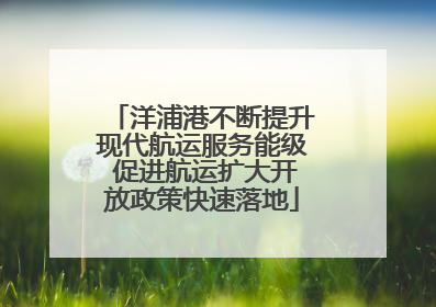 洋浦港不断提升现代航运服务能级 促进航运扩大开放政策快速落地