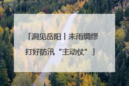 洞见岳阳丨未雨绸缪 打好防汛“主动仗”