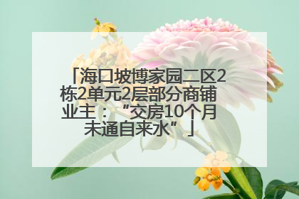 海口坡博家园二区2栋2单元2层部分商铺业主：“交房10个月未通自来水”