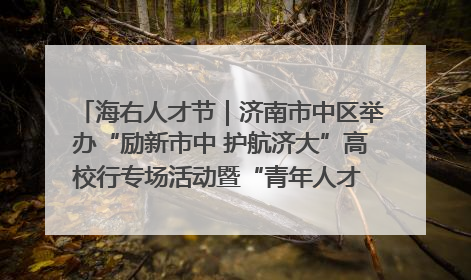 海右人才节｜济南市中区举办“励新市中 护航济大”高校行专场活动暨“青年人才 乐享市中”品牌推介会
