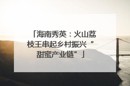 海南秀英：火山荔枝王串起乡村振兴“甜蜜产业链”
