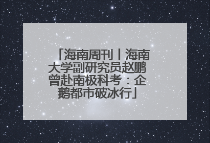 海南周刊丨海南大学副研究员赵鹏曾赴南极科考：企鹅都市破冰行