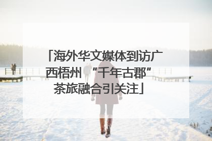 海外华文媒体到访广西梧州 “千年古郡”茶旅融合引关注