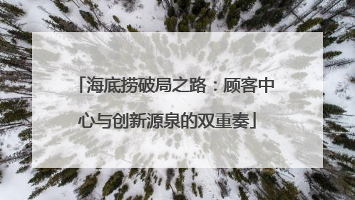 海底捞破局之路：顾客中心与创新源泉的双重奏