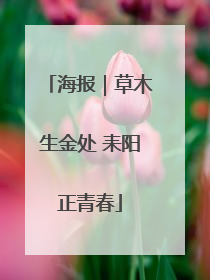 海报｜草木生金处 耒阳正青春