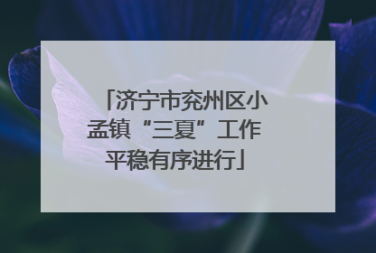 济宁市兖州区小孟镇“三夏”工作平稳有序进行