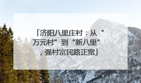 济阳八里庄村：从“万元村”到“新八里”，强村富民路正宽