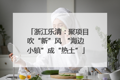 浙江乐清：聚项目吹“新”风 “海边小镇”成“热土”