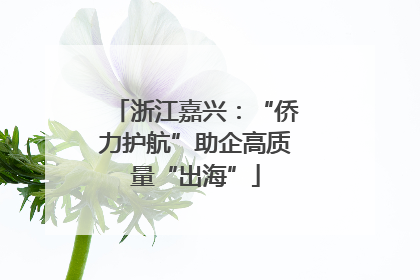浙江嘉兴：“侨力护航”助企高质量“出海”