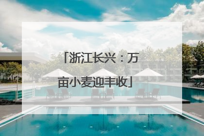 浙江长兴：万亩小麦迎丰收