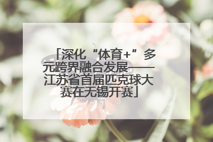深化“体育+”多元跨界融合发展——江苏省首届匹克球大赛在无锡开赛