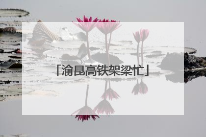 渝昆高铁架梁忙