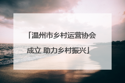 温州市乡村运营协会成立 助力乡村振兴