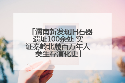 渭南新发现旧石器遗址100余处 实证秦岭北麓百万年人类生存演化史