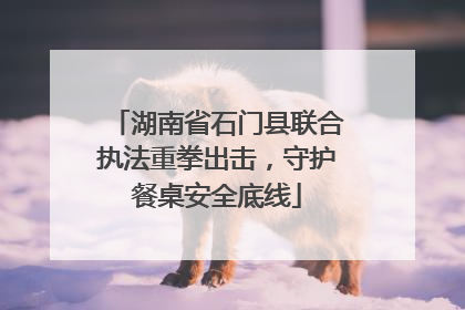 湖南省石门县联合执法重拳出击，守护餐桌安全底线