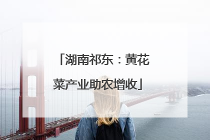 湖南祁东：黄花菜产业助农增收