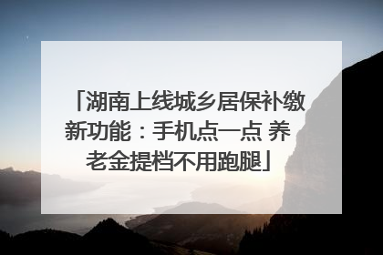 湖南上线城乡居保补缴新功能：手机点一点 养老金提档不用跑腿