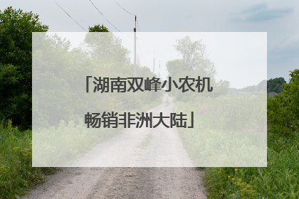 湖南双峰小农机畅销非洲大陆
