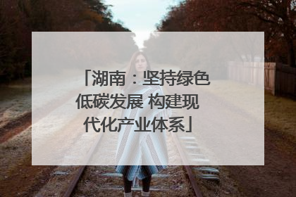 湖南：坚持绿色低碳发展 构建现代化产业体系