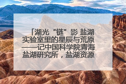 湖光“链”影 盐湖实验室里的星辰与荒原——记中国科学院青海盐湖研究所，盐湖资源化学实验室党总支书记、副主任刘忠