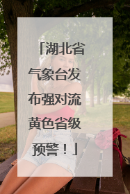 湖北省气象台发布强对流黄色省级预警！