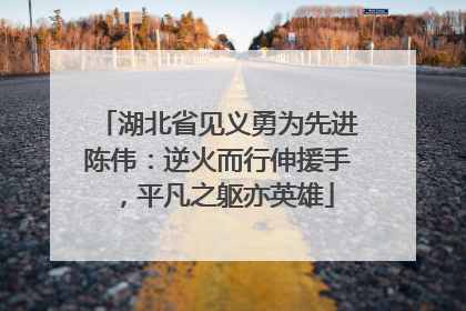 湖北省见义勇为先进陈伟：逆火而行伸援手，平凡之躯亦英雄