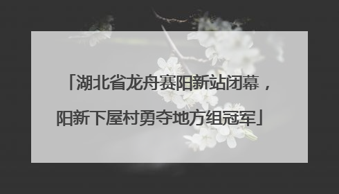 湖北省龙舟赛阳新站闭幕，阳新下屋村勇夺地方组冠军