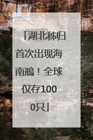 湖北秭归首次出现海南鳽！全球仅存1000只